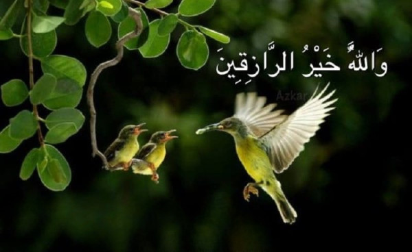 Category Sample Image