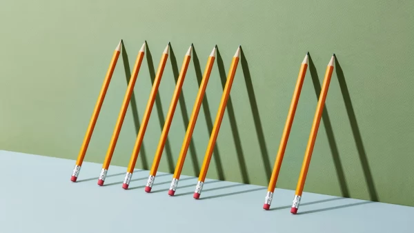 Category Sample Image