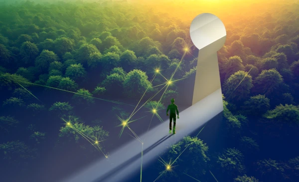 Category Sample Image