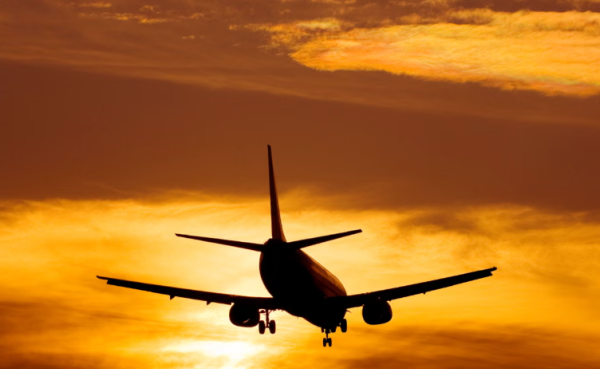 Category Sample Image