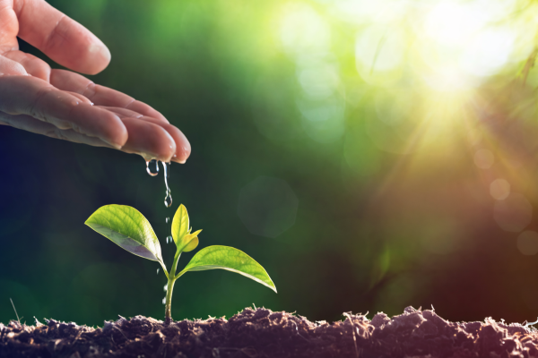 Category Sample Image