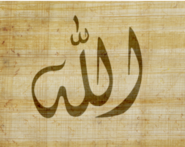 Category Sample Image