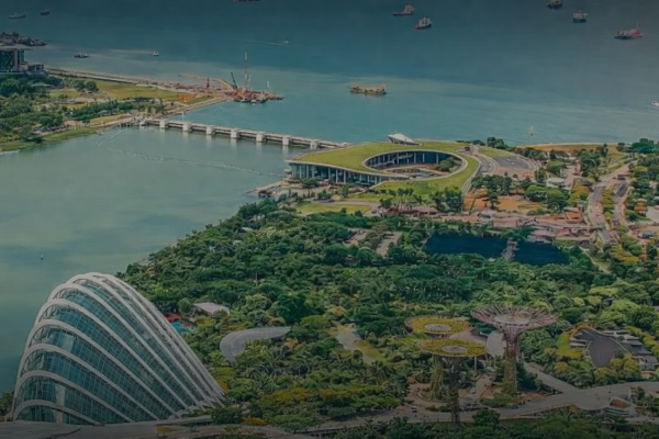 Category Sample Image