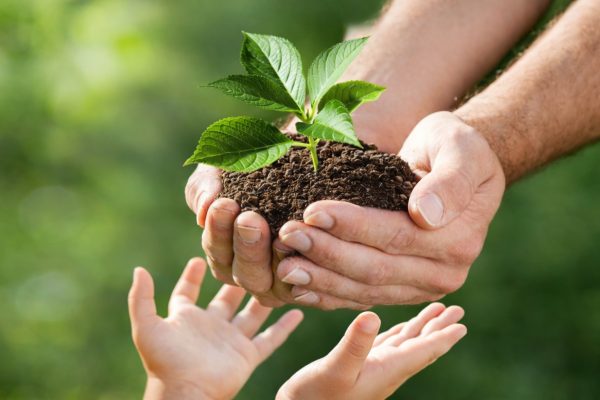 Category Sample Image