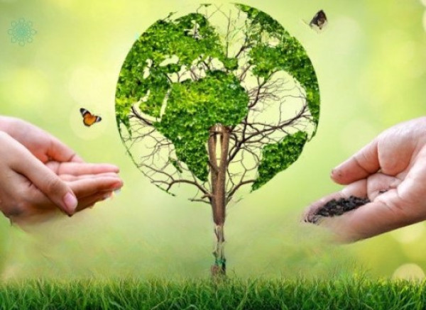 Category Sample Image