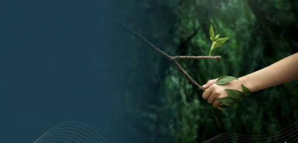 Category Sample Image