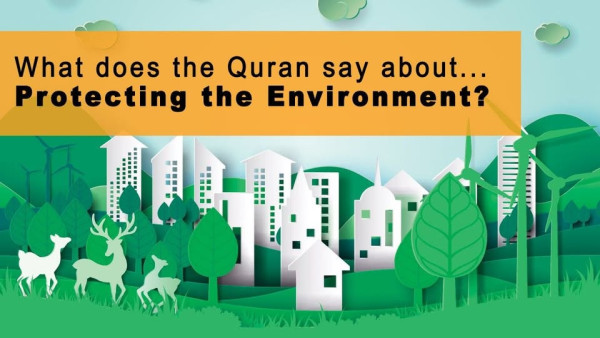 Category Sample Image