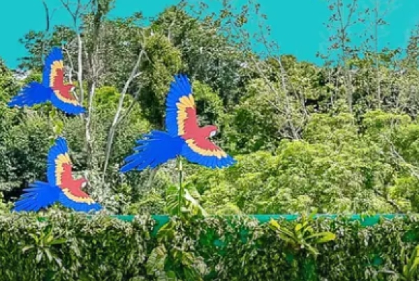 Category Sample Image