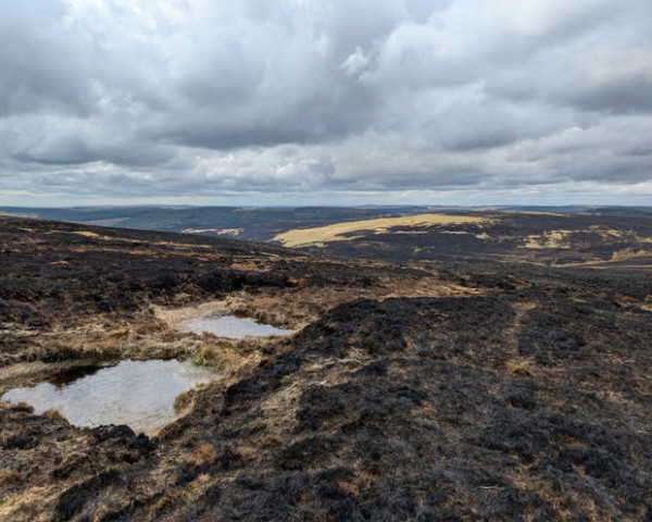 Category Sample Image