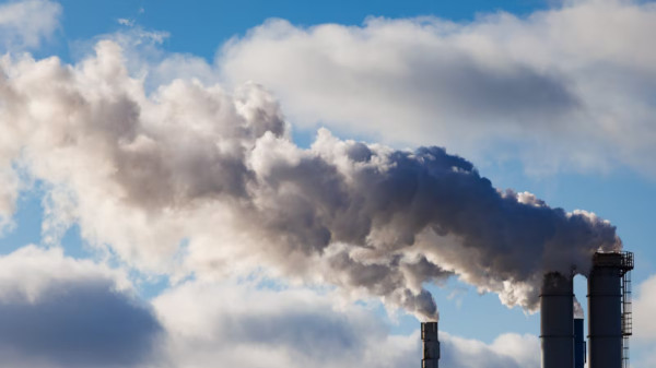 Category Sample Image