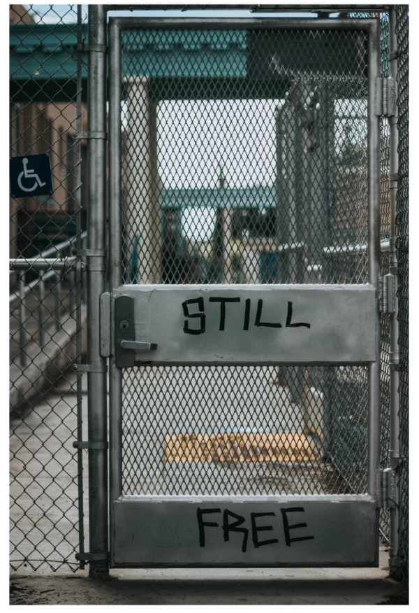 Category Sample Image