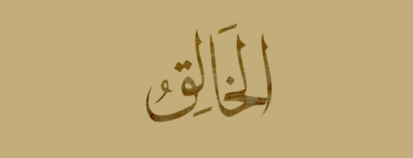 Category Sample Image