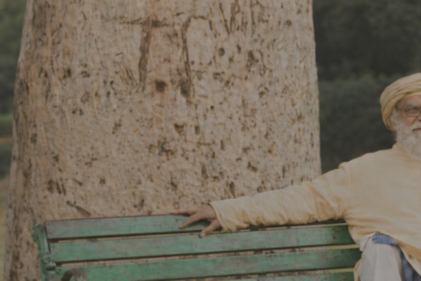 Category Sample Image