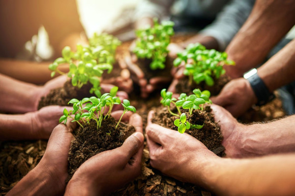 Category Sample Image