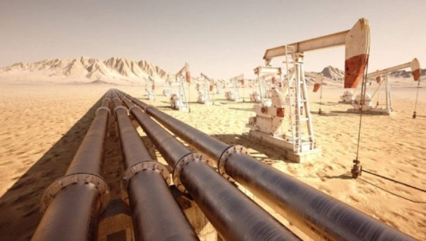 Category Sample Image