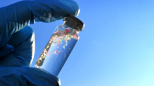 Category Sample Image