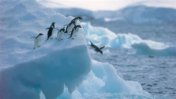 Category Sample Image