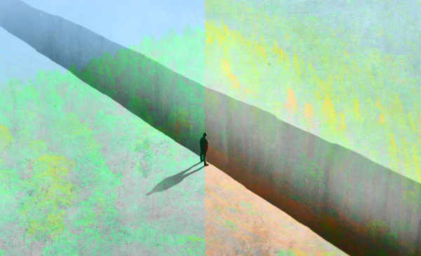 Category Sample Image