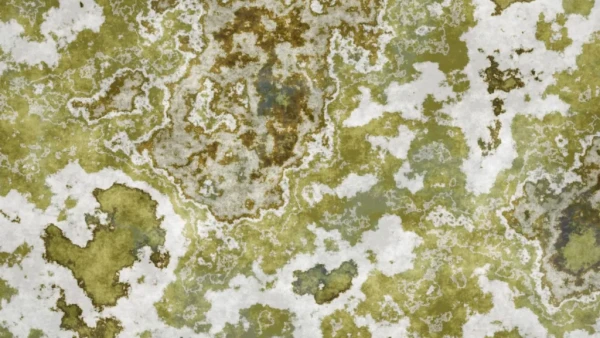 Category Sample Image