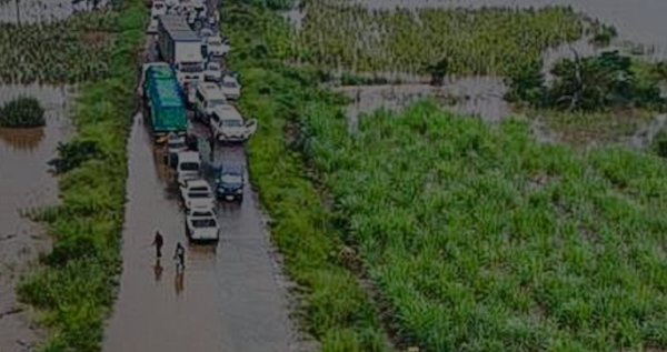 Category Sample Image