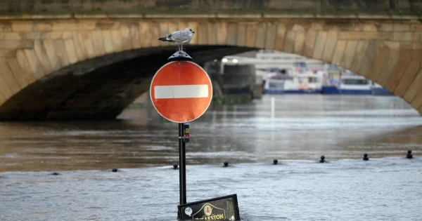 Category Sample Image