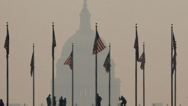 Category Sample Image