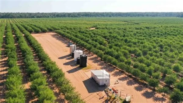 Category Sample Image