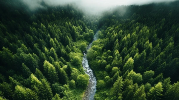 Category Sample Image