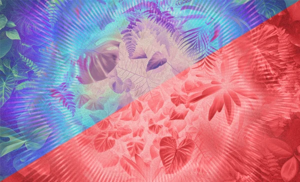 Category Sample Image