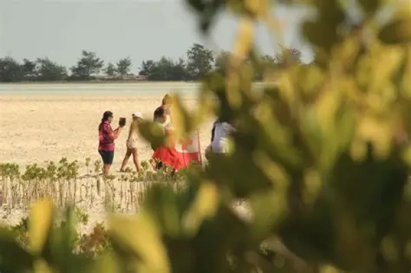 Category Sample Image