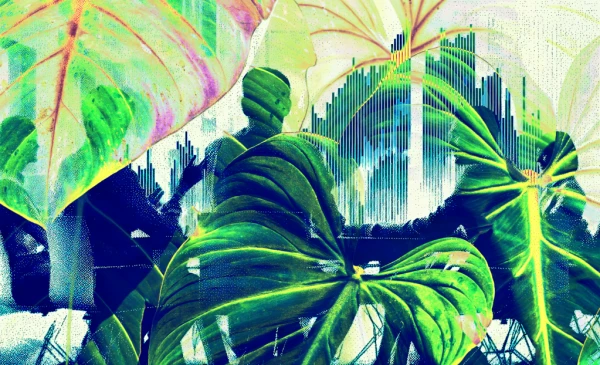 Category Sample Image