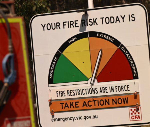 Category Sample Image