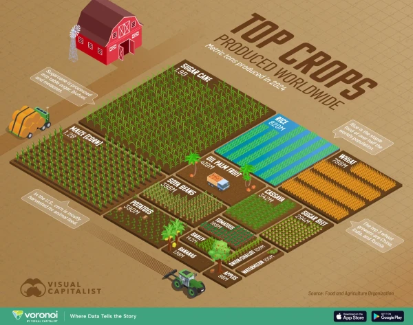 Category Sample Image