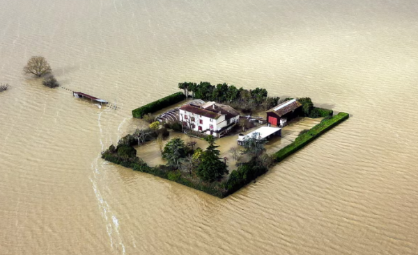 Category Sample Image