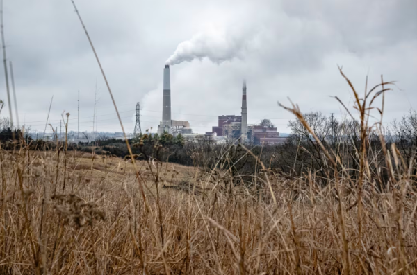 Category Sample Image