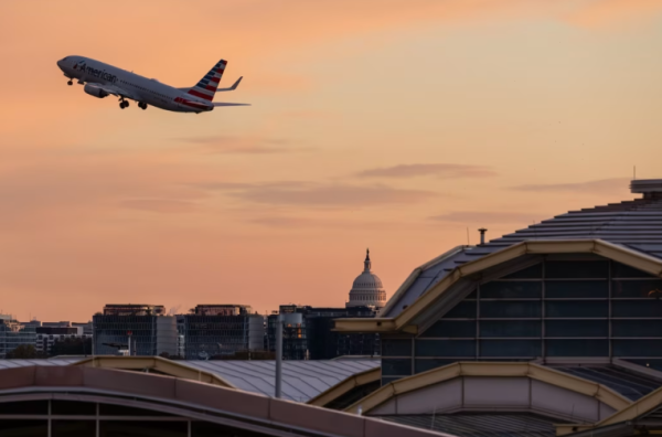 Category Sample Image