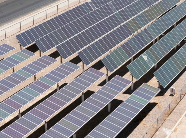 Category Sample Image