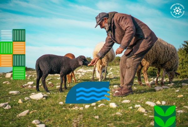 Category Sample Image