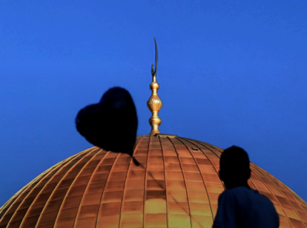 Category Sample Image