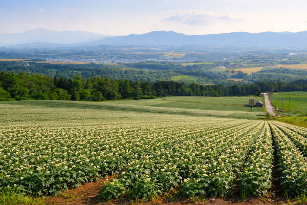 Nature expectations | Norges Bank Investment Management