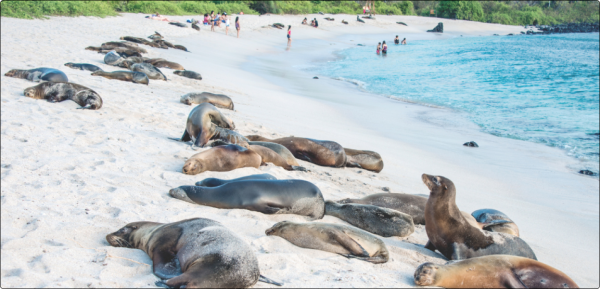 How tourism is shaping the debate over natural capital | Corporate Knights