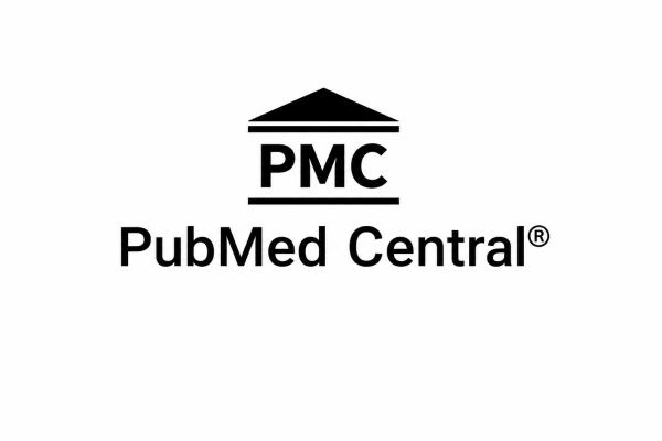 Bibliometric Analysis of Islamic Crowdfunding: A Literature Review of Its Journey - PMC