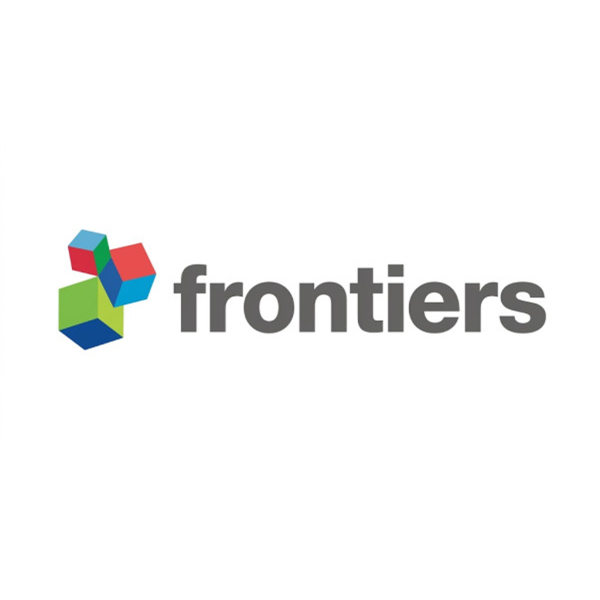 Frontiers | Islamic mindfulness as cultural mindfulness: a conceptual framework for decision-making and well-being