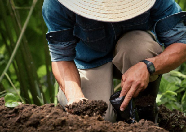 Keurig Dr Pepper Inc.-Sustainability_Report-2025