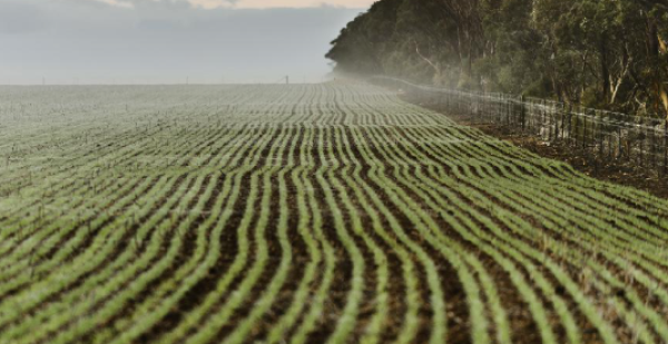 Bunge- 2026 Global Sustainability Report