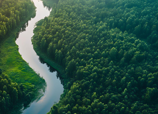 Elevance Health, Inc.Essex Property Trust, Inc.Franklin Resources, Inc.-Sustainability_Report-2025