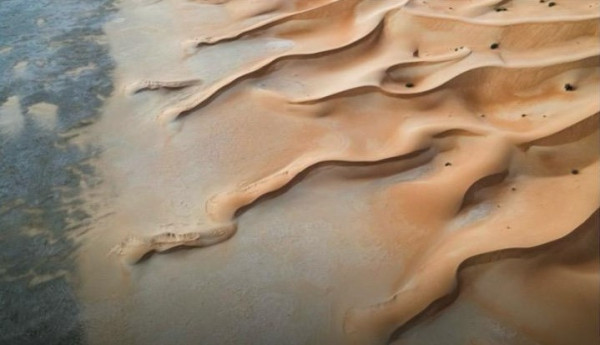 The Quiet Majesty of the Dunes
