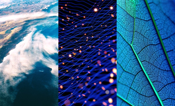 What's next: Key climate and nature standards in 2026 | Trellis