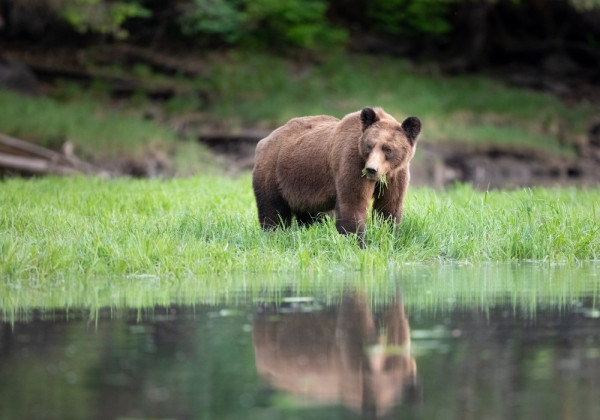 Carbon credits have a bad reputation, but these ones buck the trend
